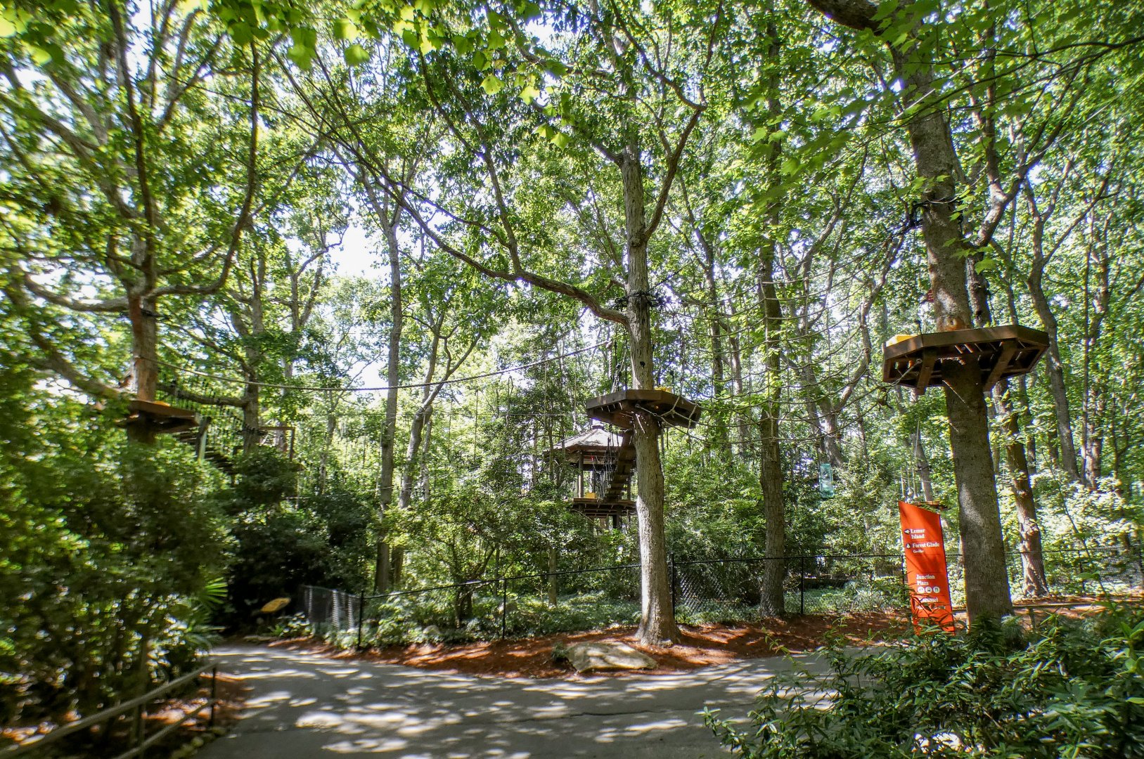 Aug. 2022 - Africa - Air Hike