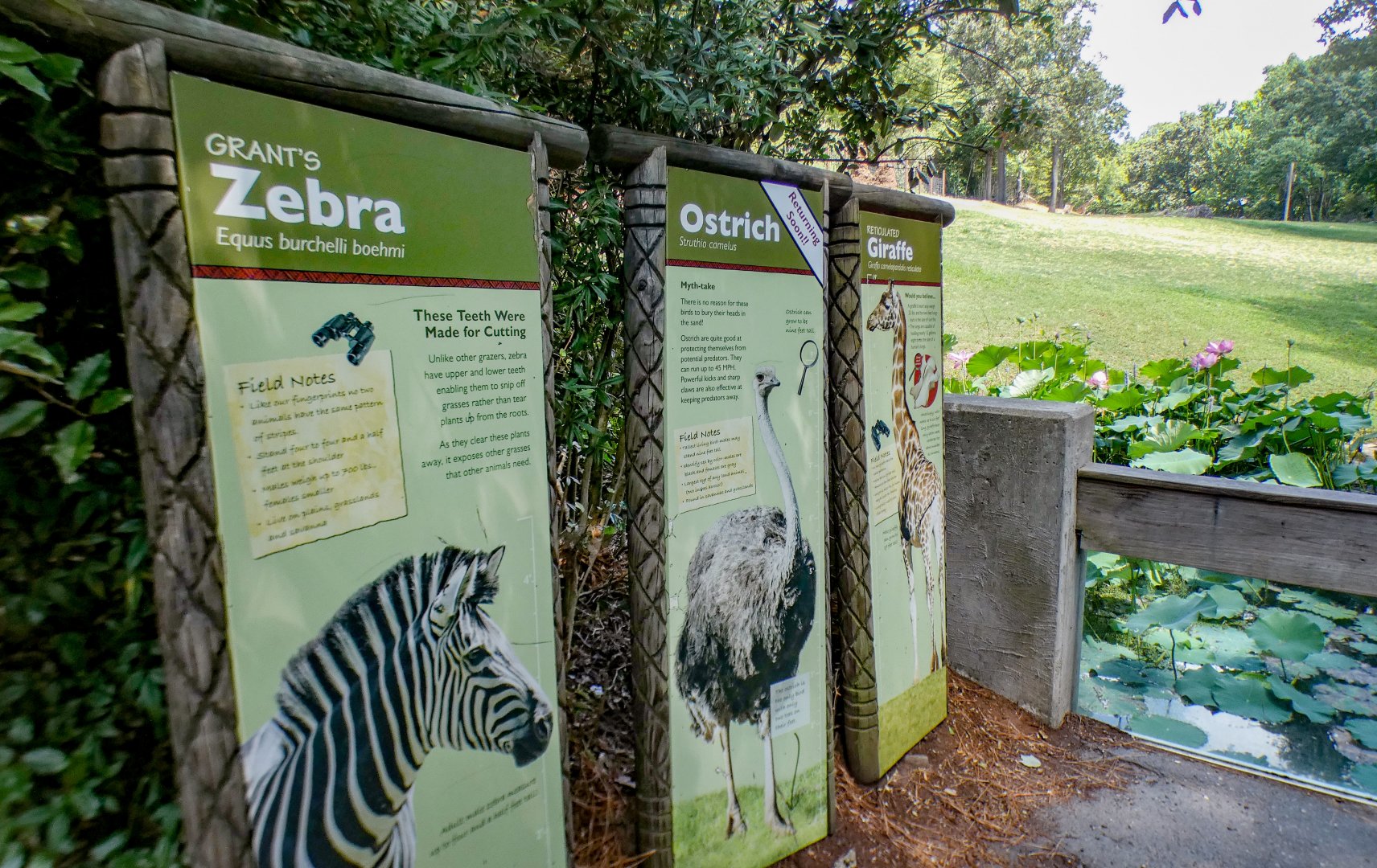 Aug. 2022 - Africa - Forest Edge Signage