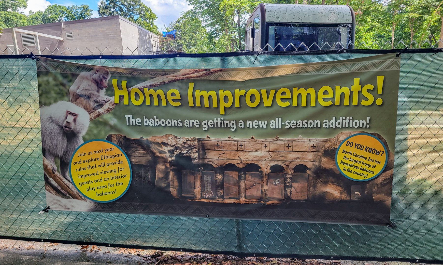 Aug. 2022 - Africa - Future Baboon Sign