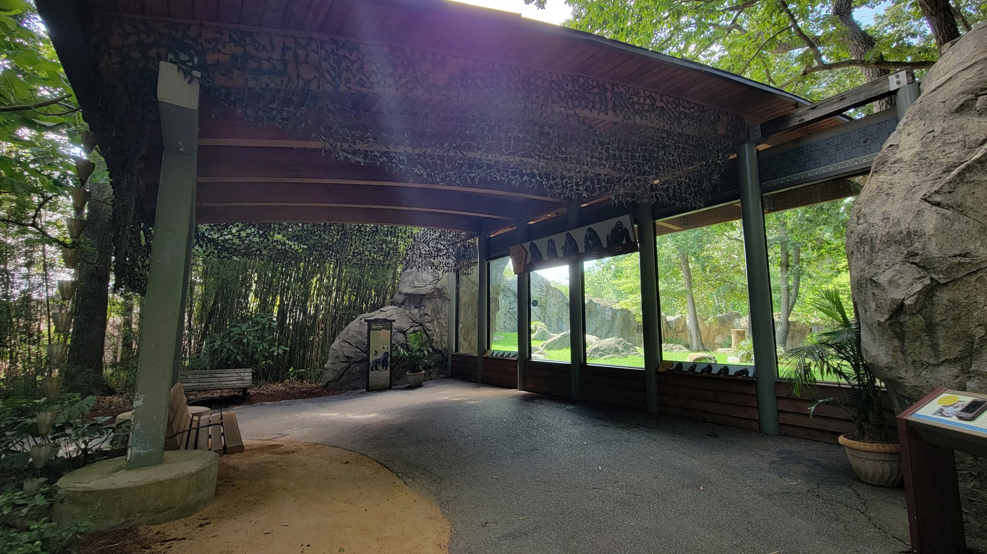 Aug. 2022 - Africa - Gorilla Exhibit (Second Viewing)