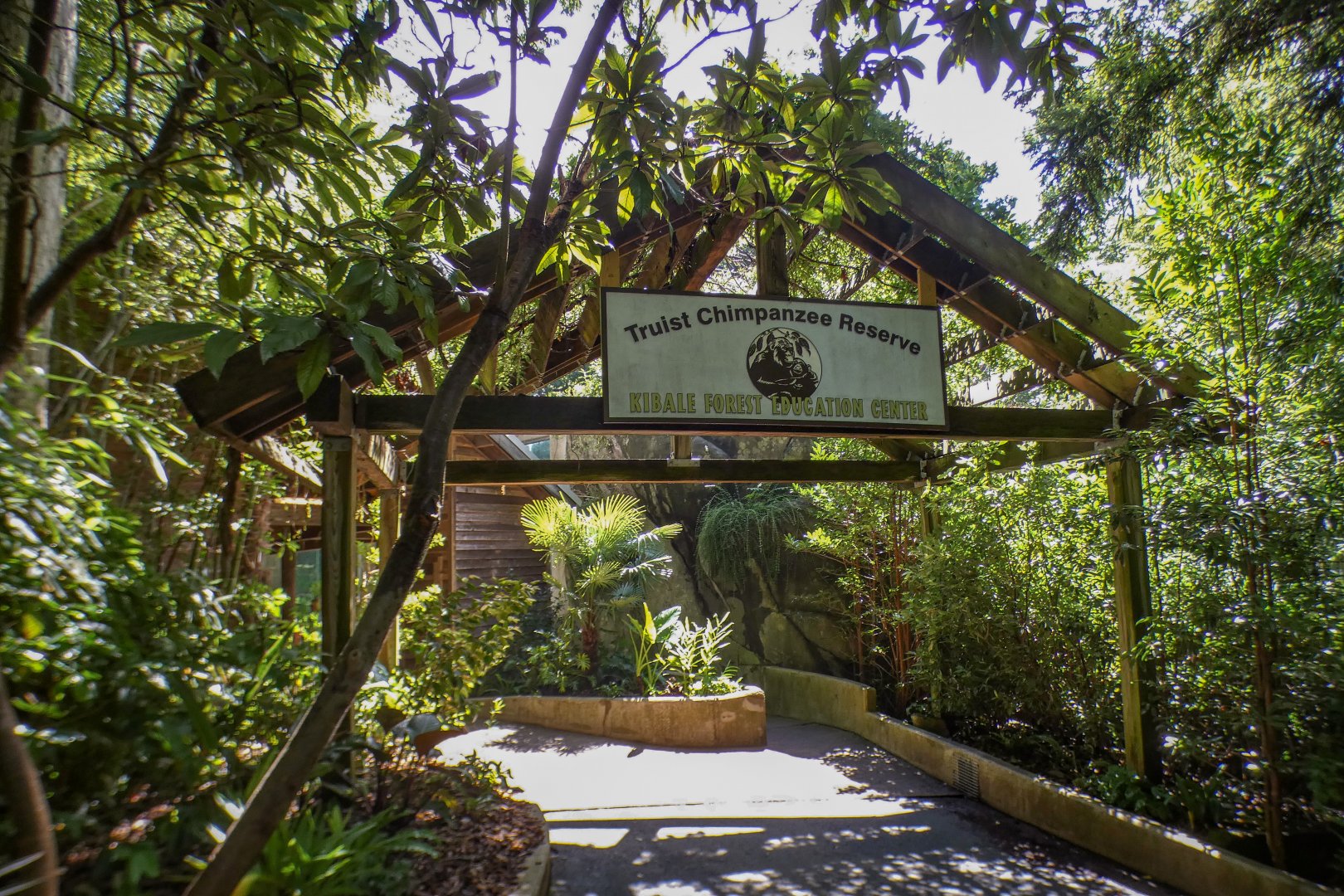 Aug. 2022 - Africa - Kitera Forest - Chimpanzee Main Viewing Entrance