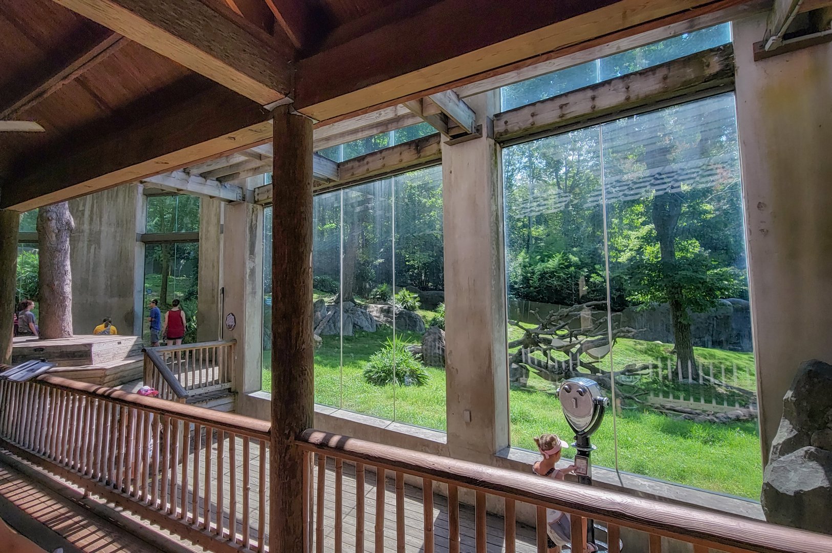 Aug. 2022 - Africa - Kitera Forest - Chimpanzee Viewing