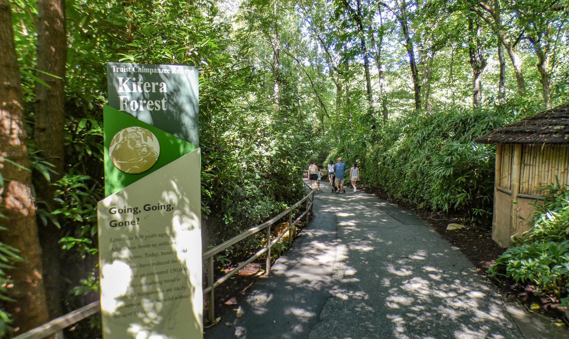 Aug. 2022 - Africa - Kitera Forest Entrance