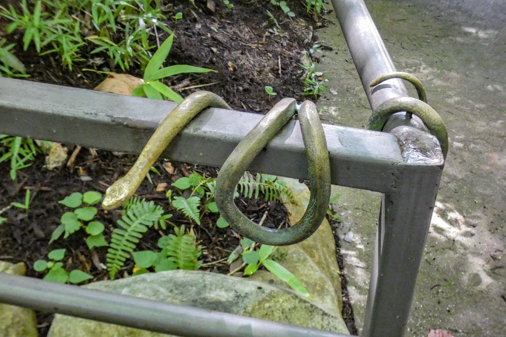 Aug. 2022 - Africa - Kitera Forest - Snake on Railing