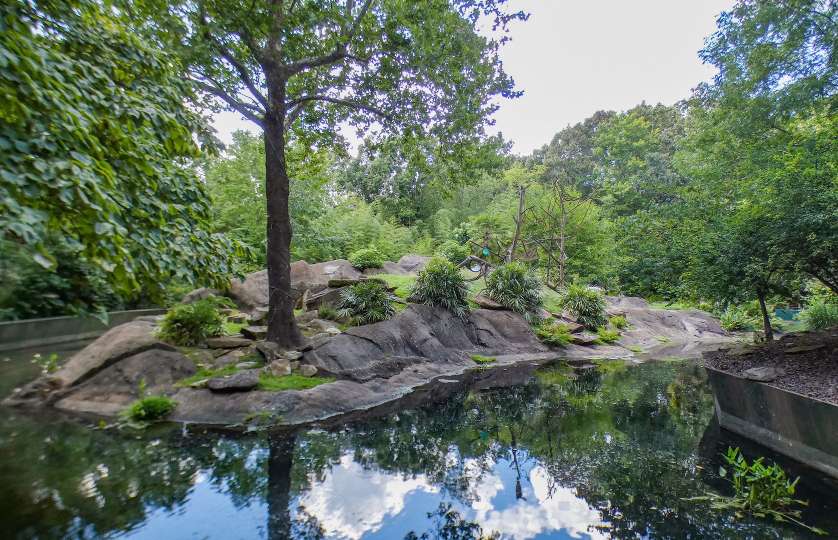 Aug. 2022 - Africa - Lemur Island