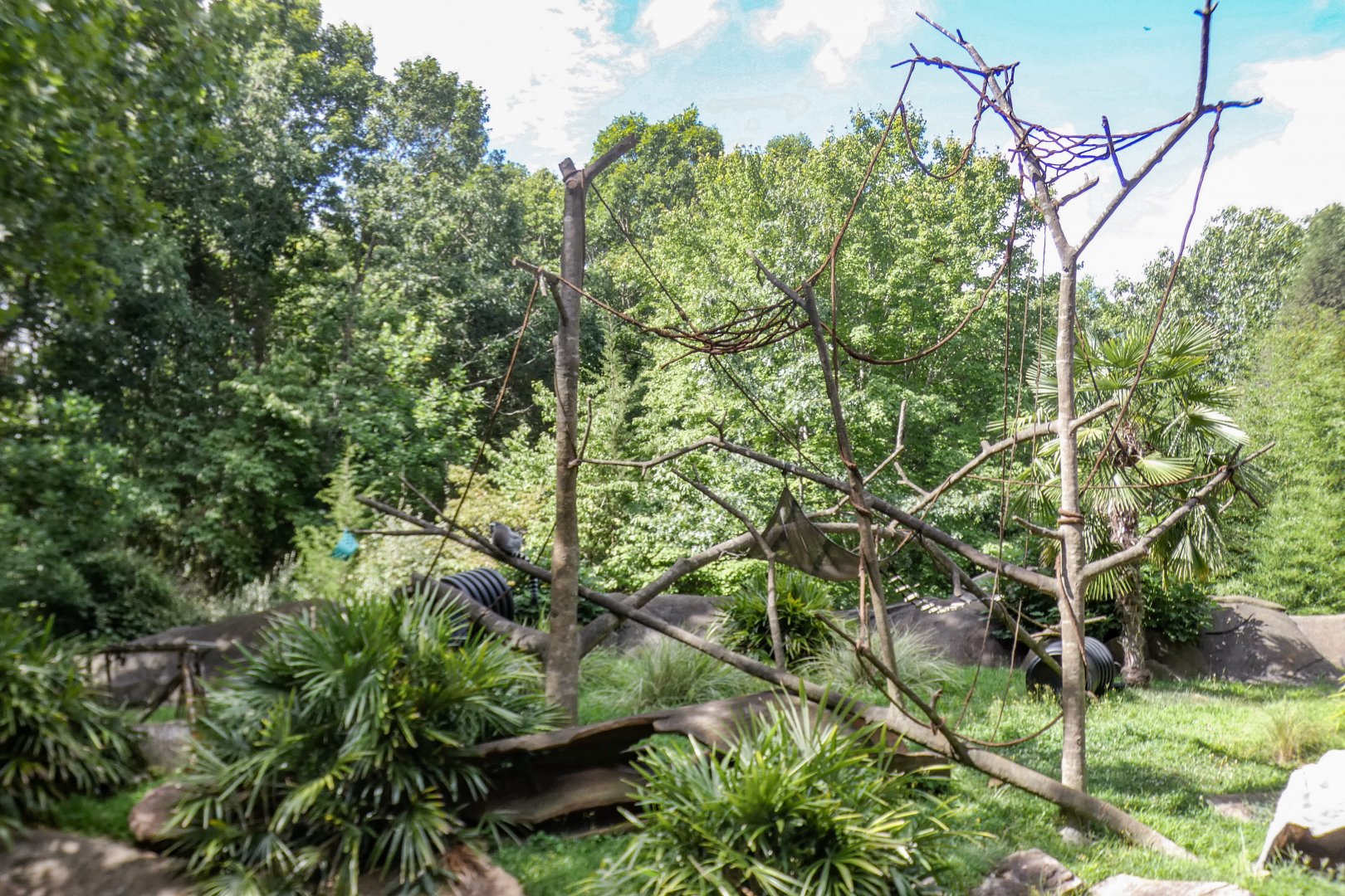 Aug. 2022 - Africa - Lemur Island