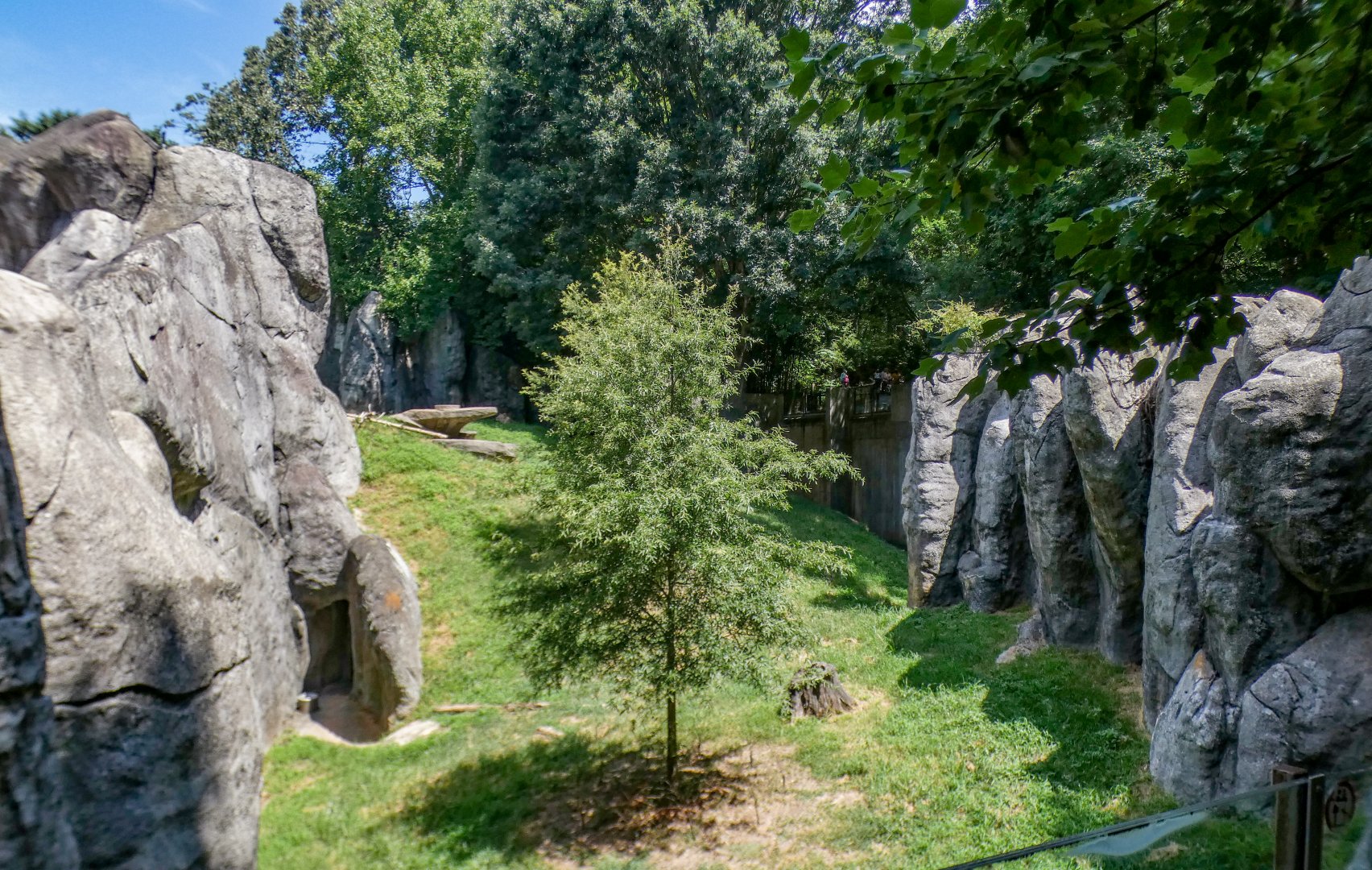 Aug. 2022 - Africa - Lion Exhibit (See the Cat?)