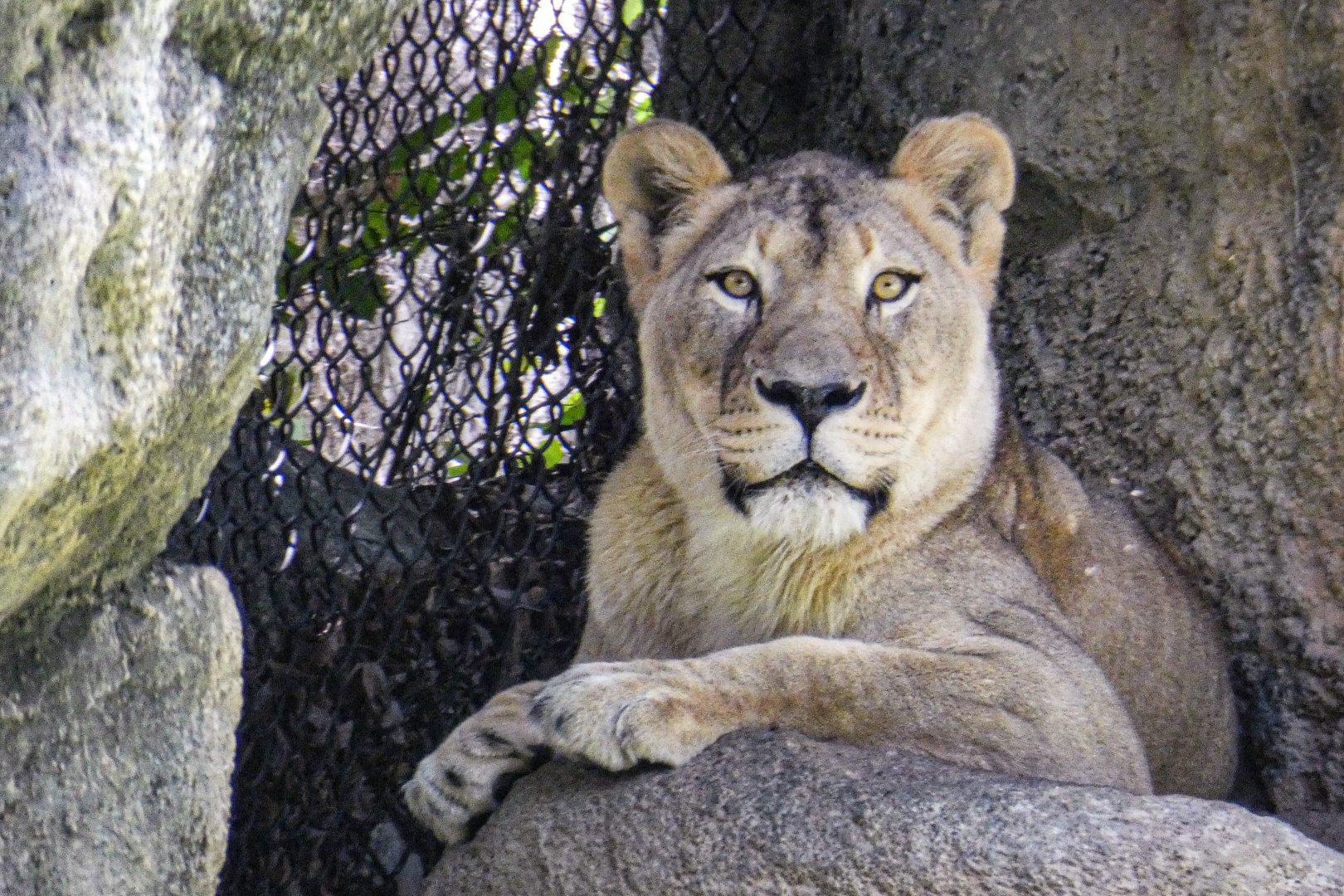 Aug. 2022 - Africa - Mekita