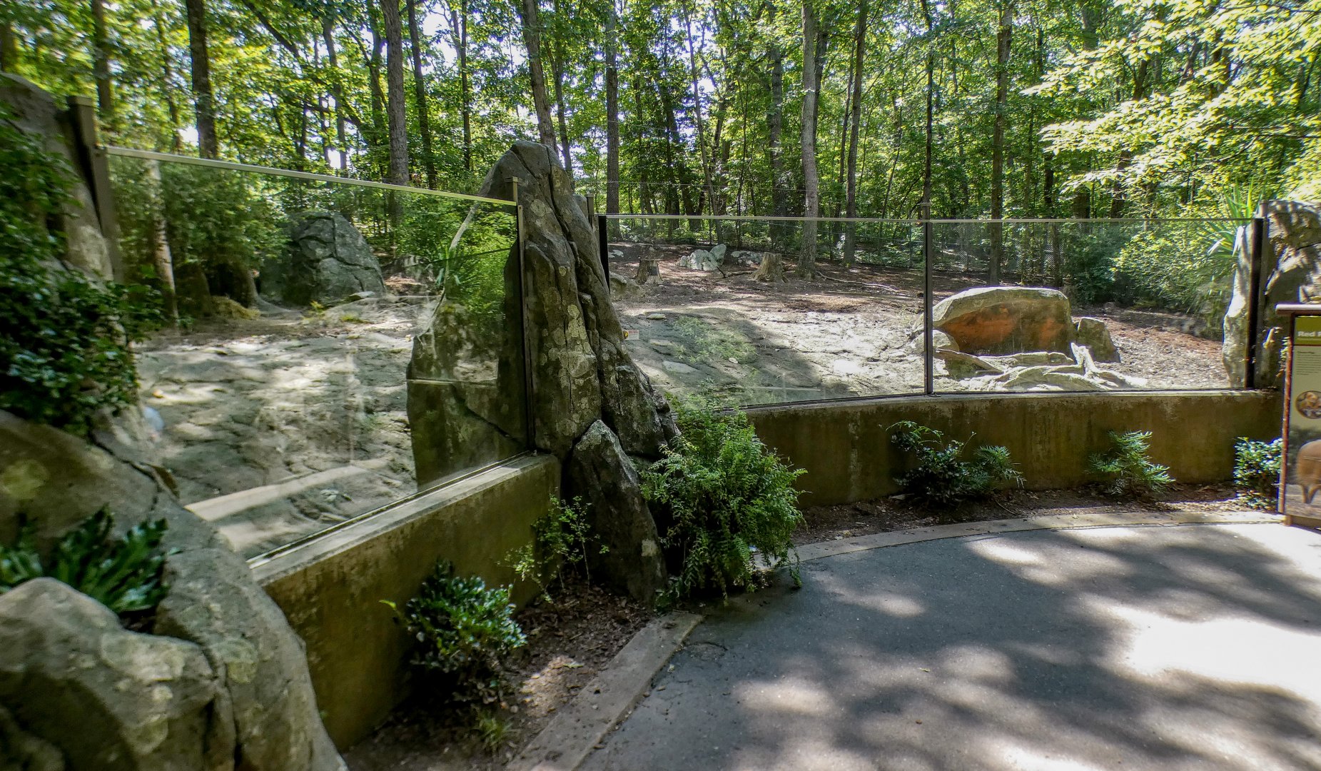 Aug. 2022 - Africa - Red River Hog Exhibit Viewing