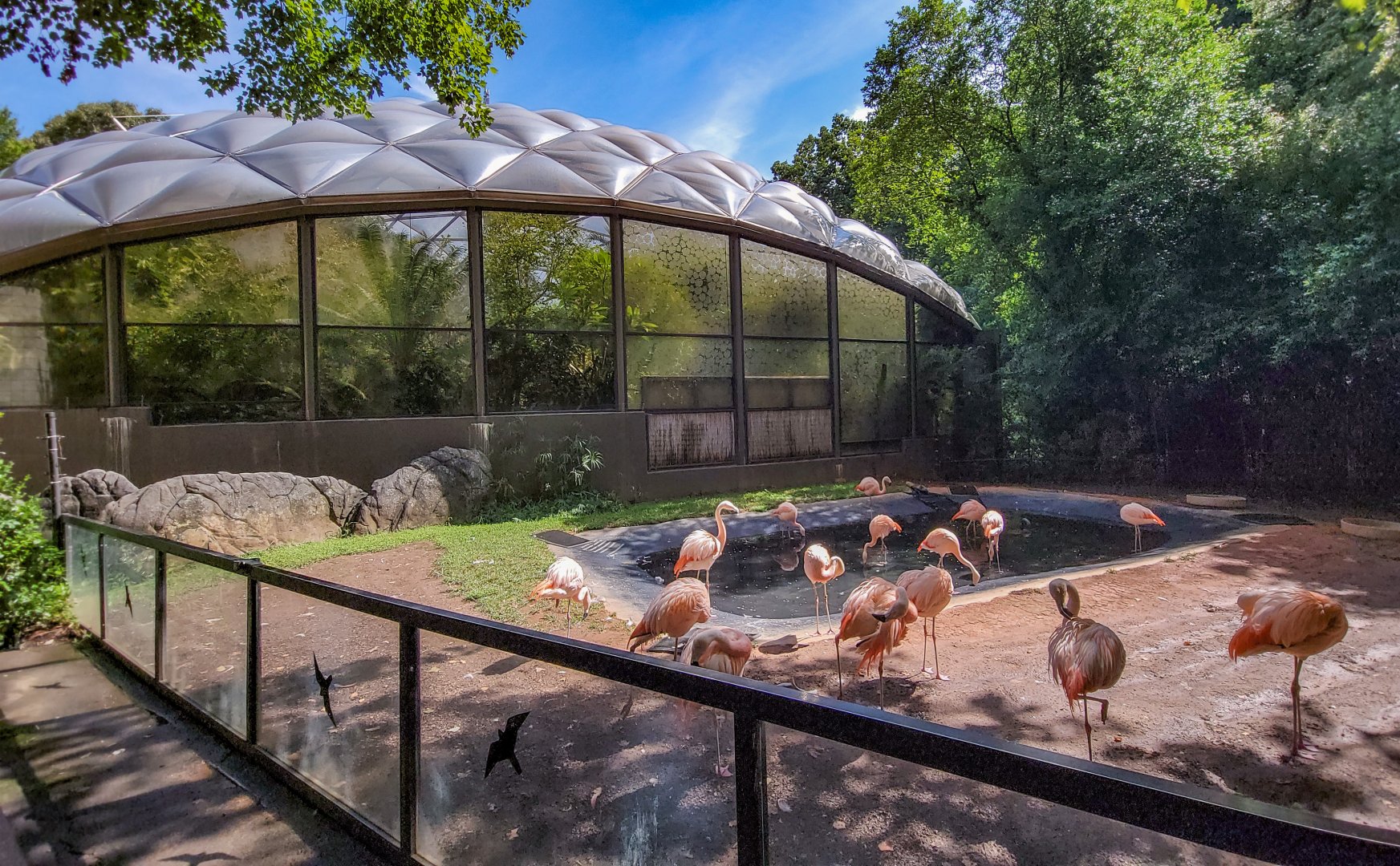 Aug. 2022 - Aviary (Closed) + Chilean Flamingo Exhibit