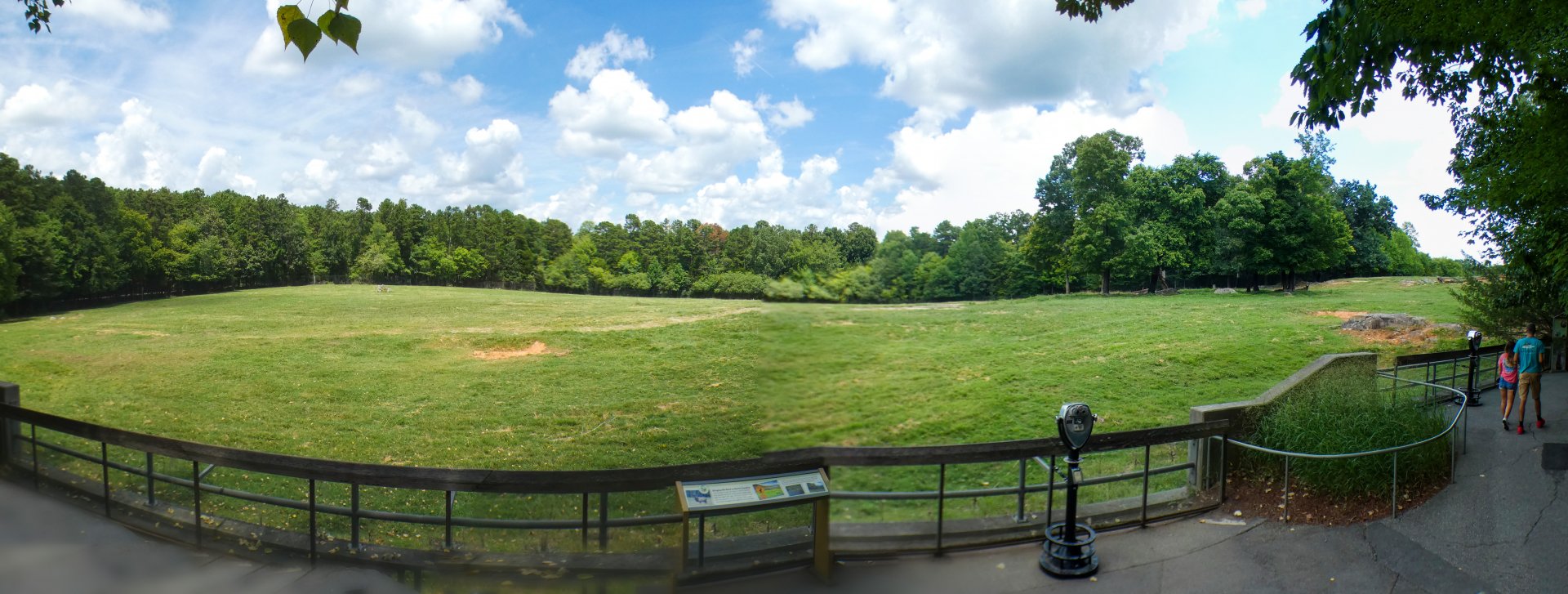 Aug. 2022 - North America: Prairie - 9 Acre Bison/Elk Exhibit Panorama