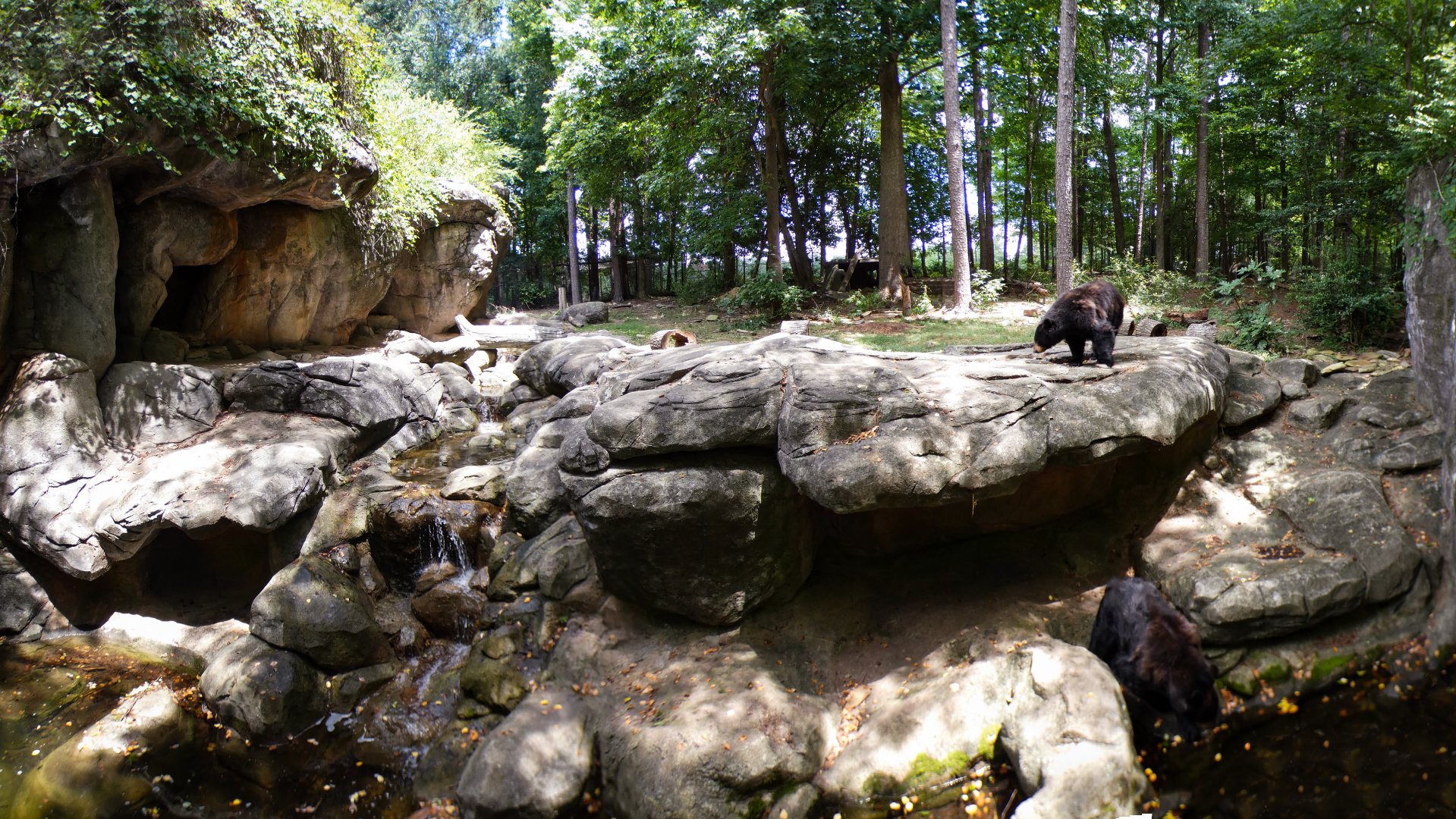 Aug. 2022 - North America: Prairie - American Black Bear Exhibit