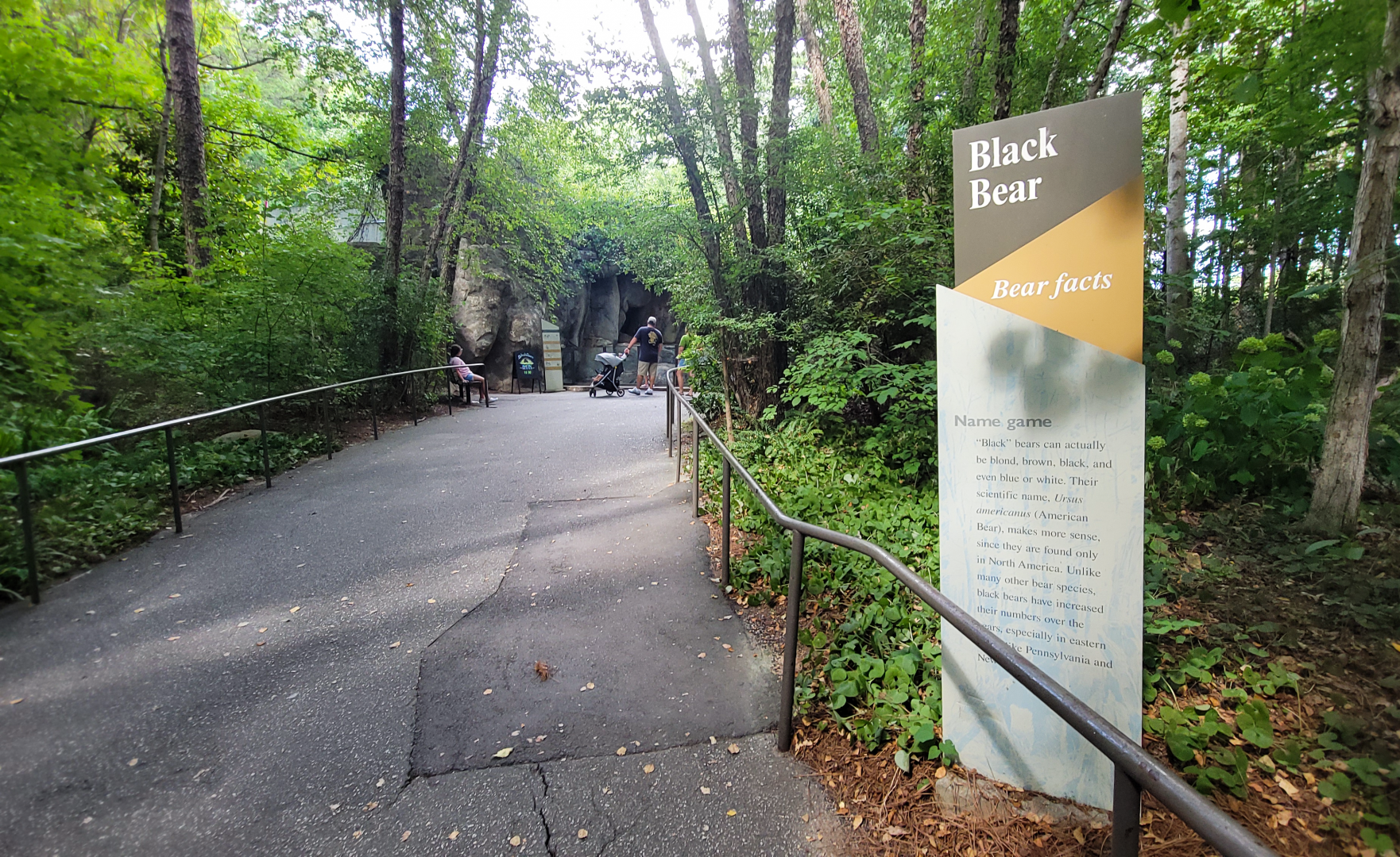 Aug. 2022 - North America: Prairie - Black Bear Viewing