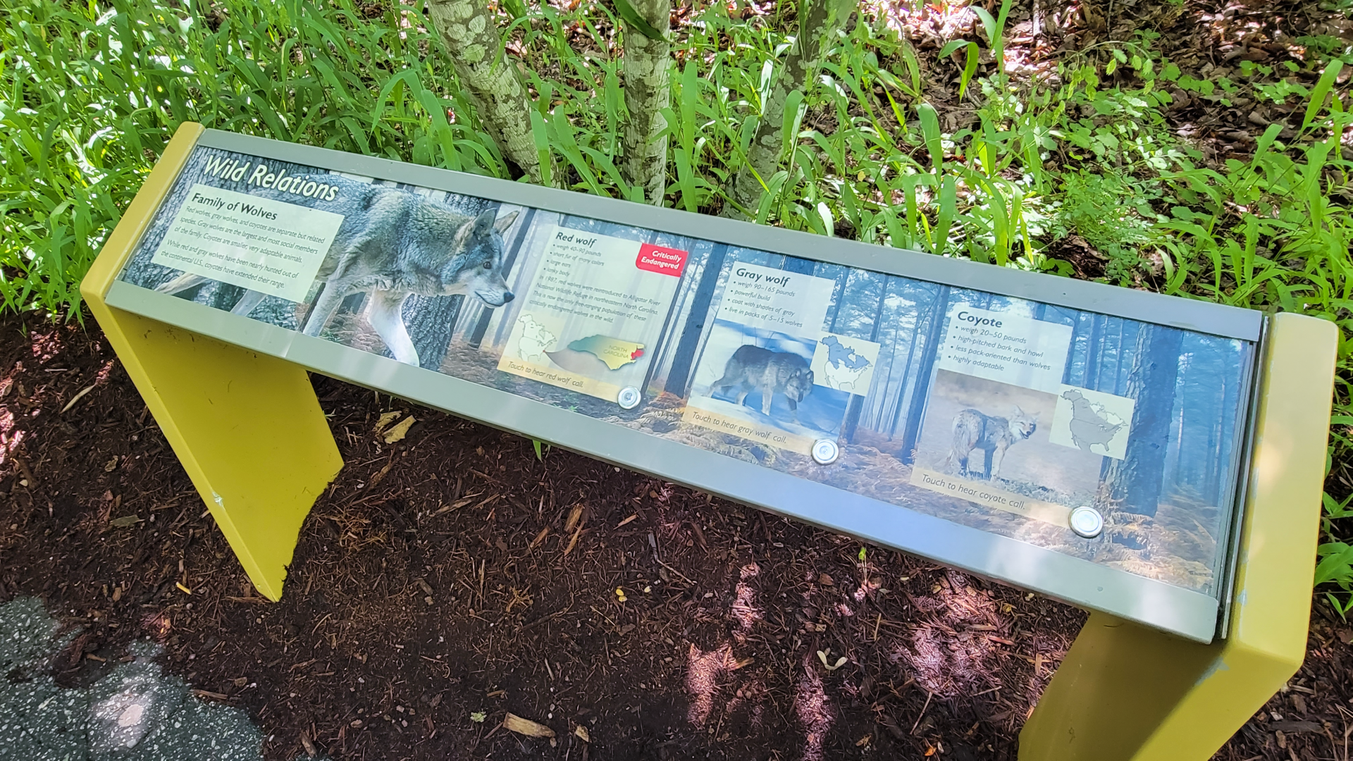 Aug. 2022 - North America: Prairie - Canid Soundboard