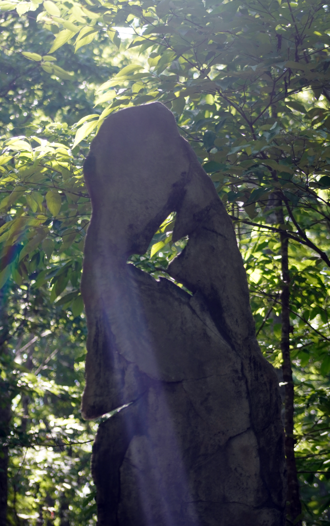 Aug. 2022 - North America: Prairie - Carolina Parakeet Memorial