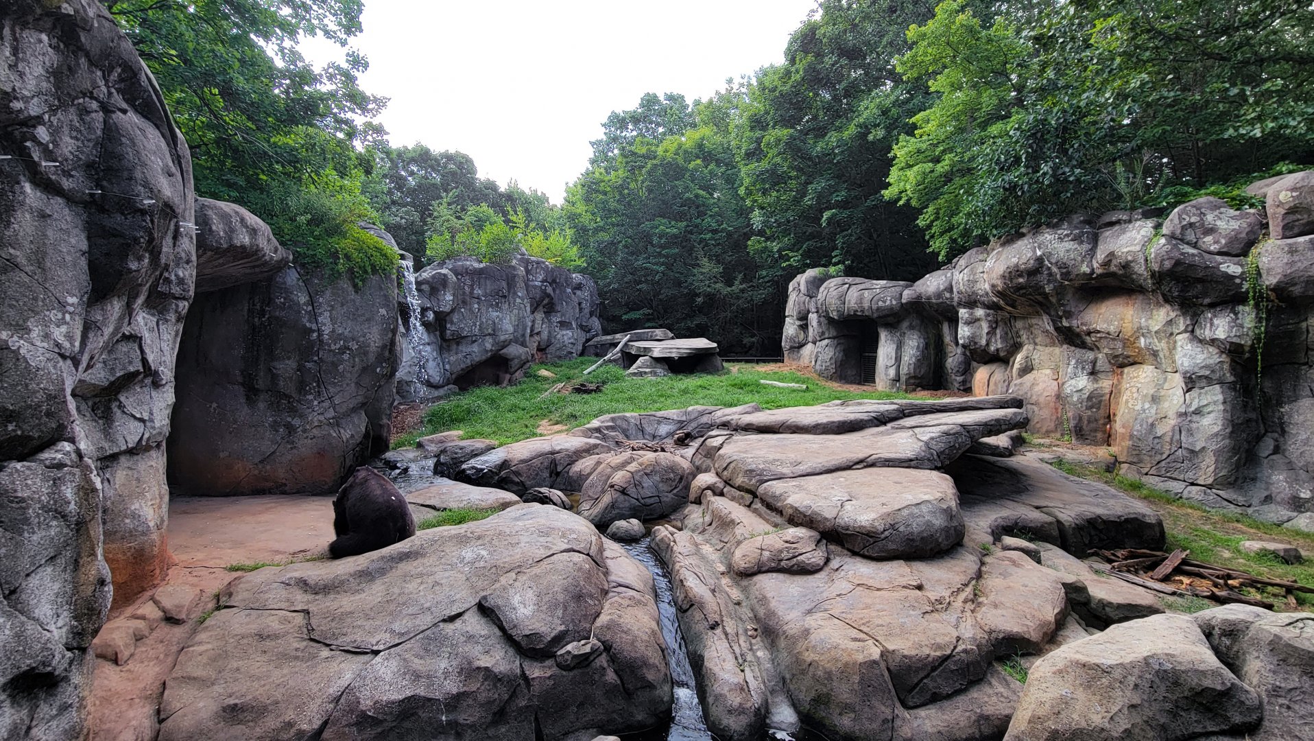 Aug. 2022 - North America: Prairie - Grizzly Bear Exhibit