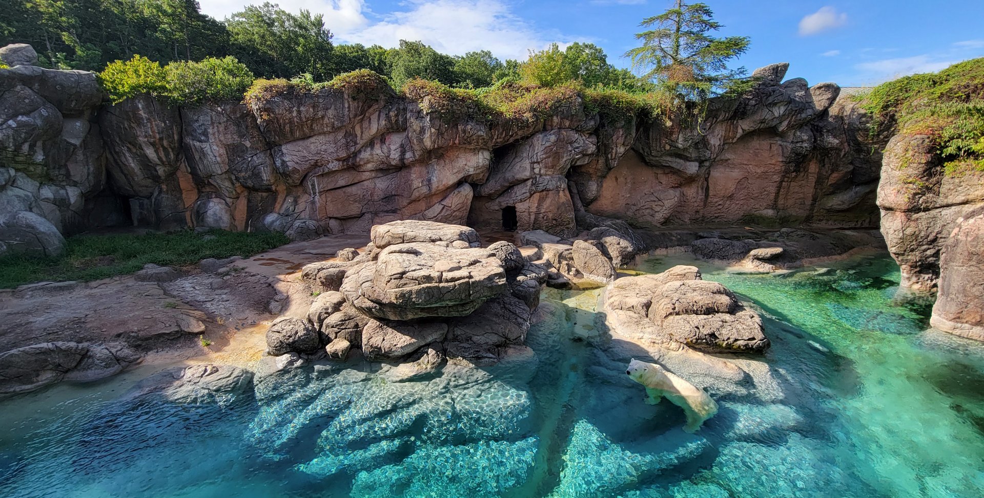 Aug. 2022 - North America: Rocky Coast - Original Polar Bear Exhibit (4,400 square feet)