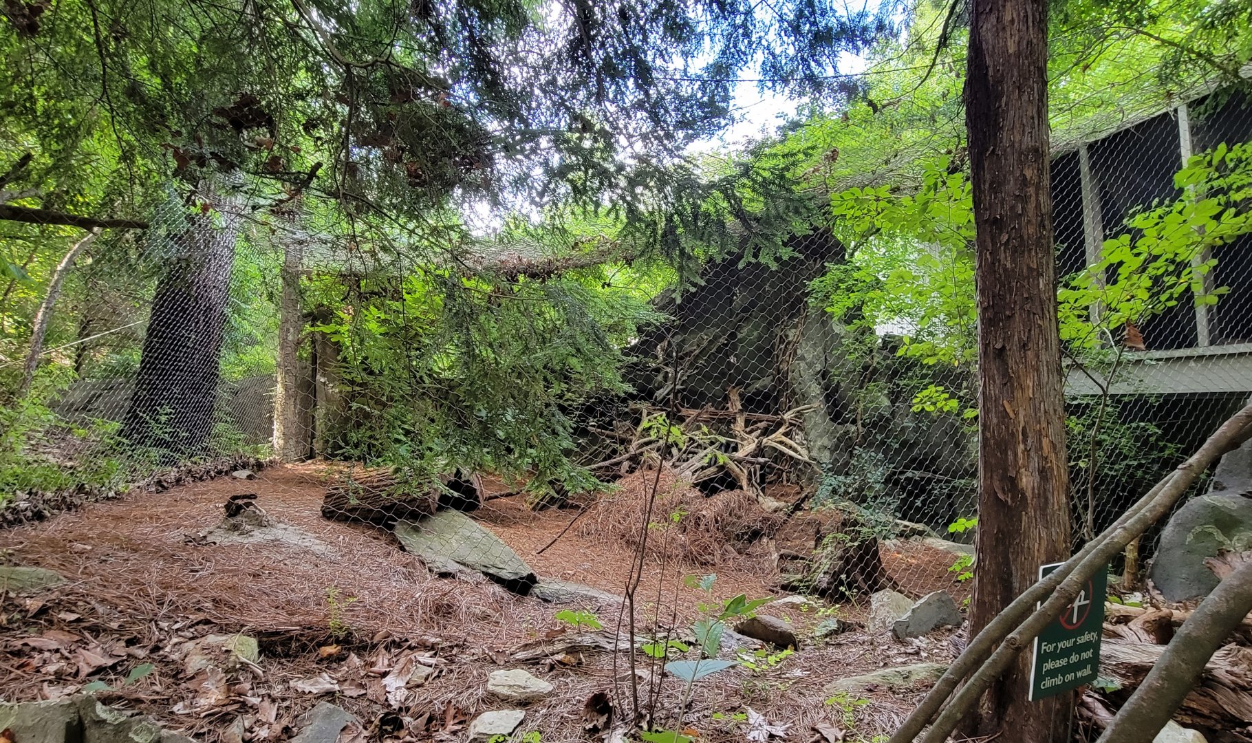 Aug. 2022 - North America: Streamside - Bobcat Exhibit