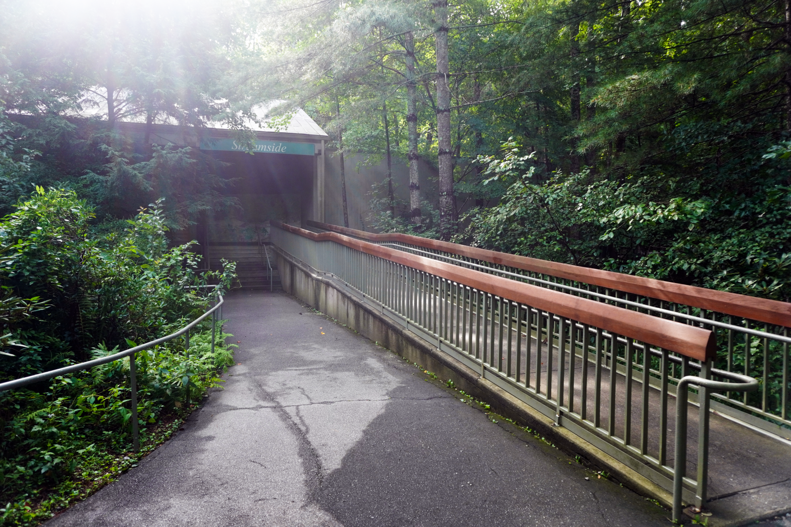 Aug. 2022 - North America: Streamside - Entrance