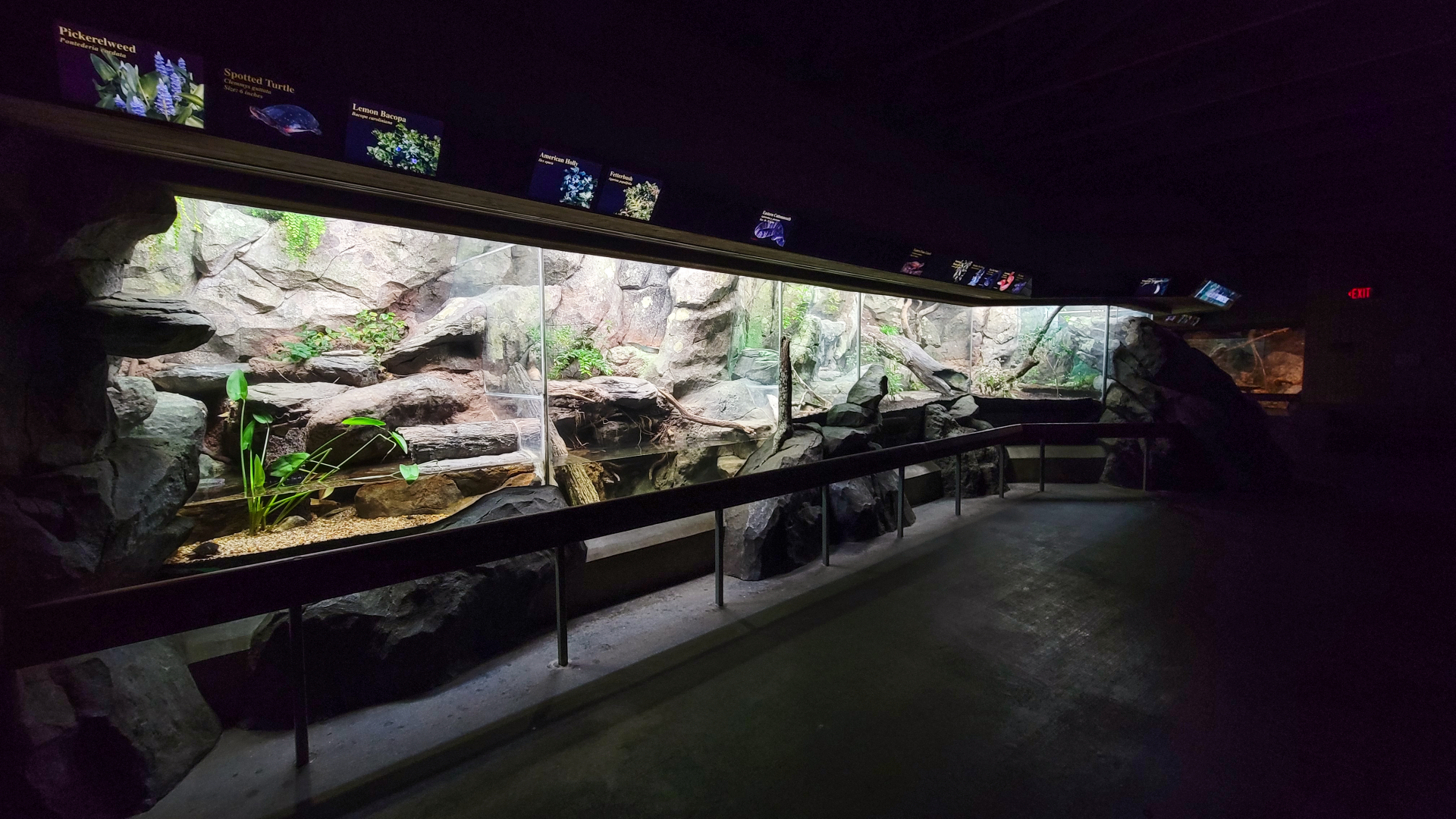 Aug. 2022 - North America: Streamside - Reptile Exhibits