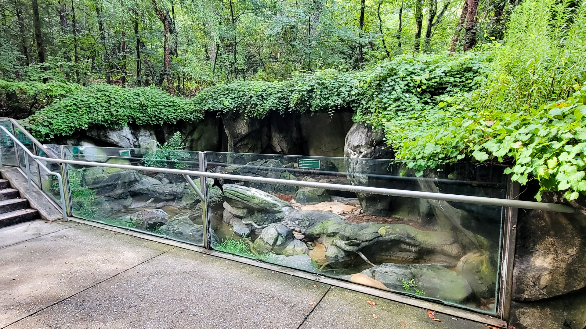 Aug. 2022 - North America: Streamside - River Otter Exhibit