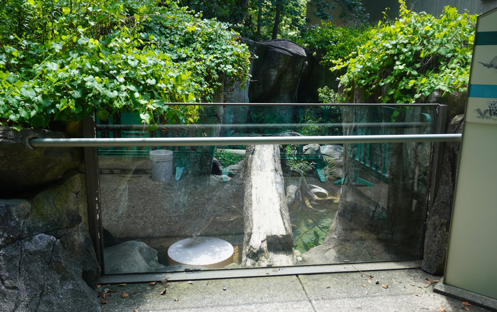 Aug. 2022 - North America: Streamside - River Otter Exhibit