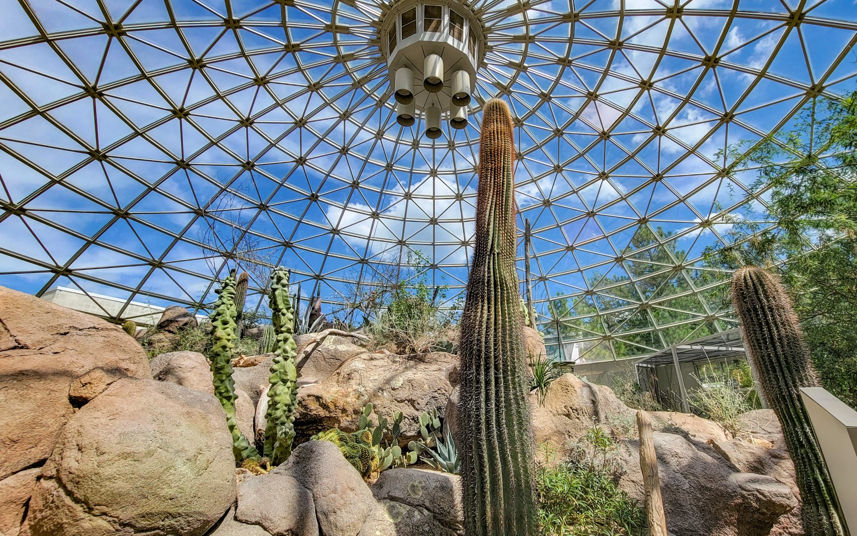 Aug. 2022 - The Desert - (6 Free Flying Species)