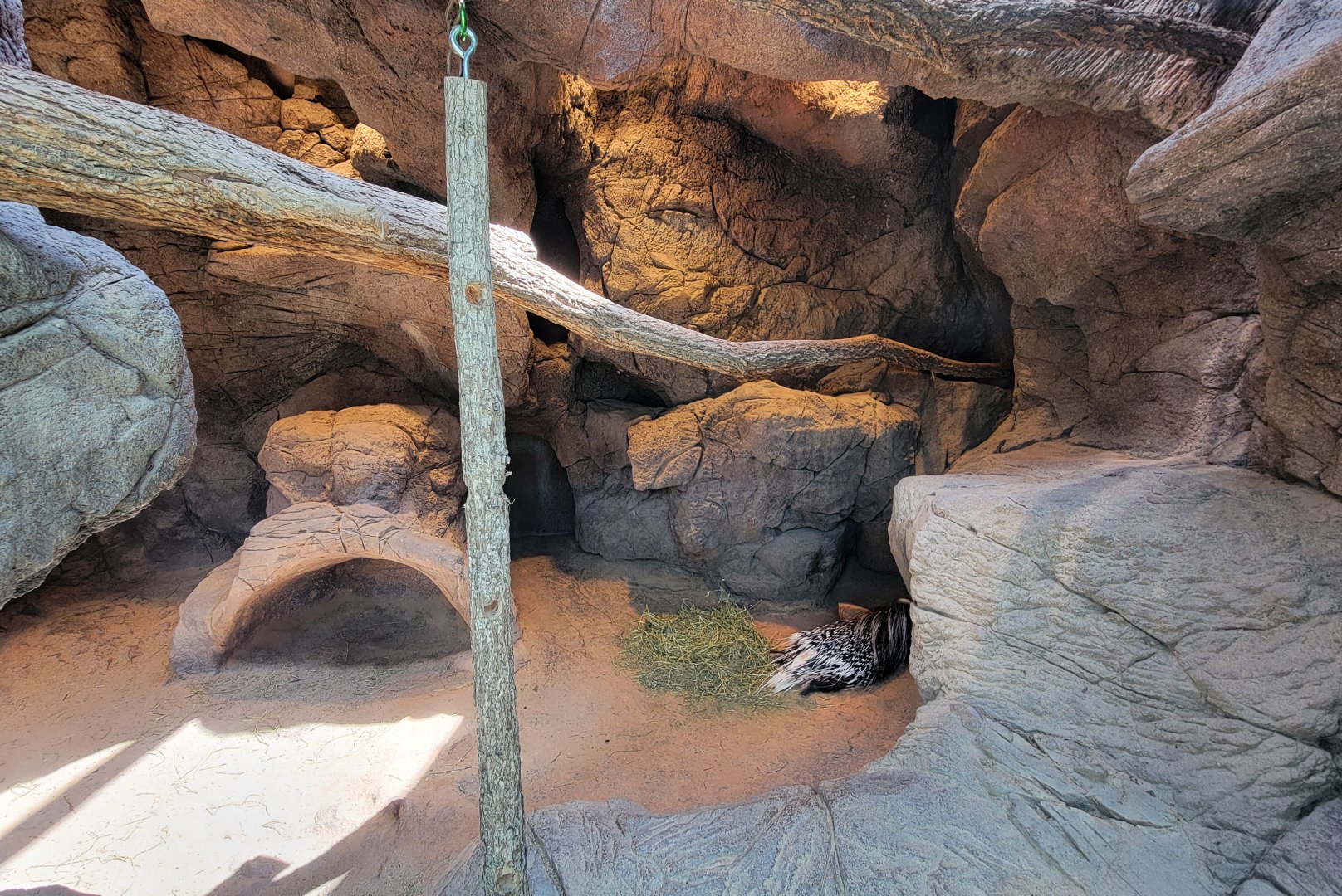 Aug. 2022 - The Desert - Cape Porcupine Exhibit (1/3 of it)