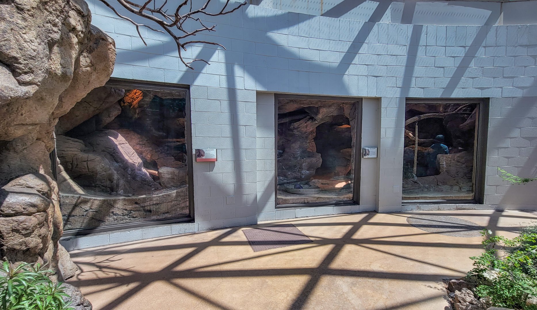 Aug. 2022 - The Desert - Cape Porcupine Exhibit