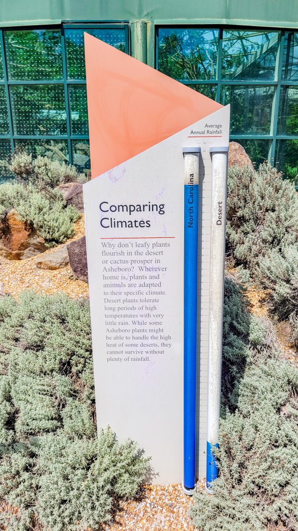 Aug. 2022 - The Desert - Comparing Climates