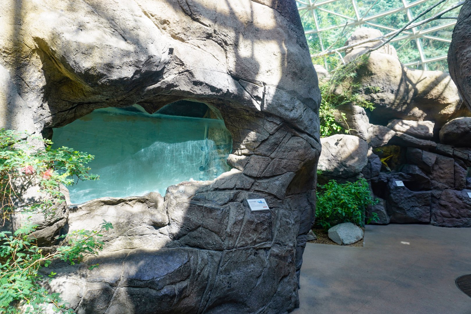 Aug. 2022 - The Desert - Desert Pupfish Tank (Empty)