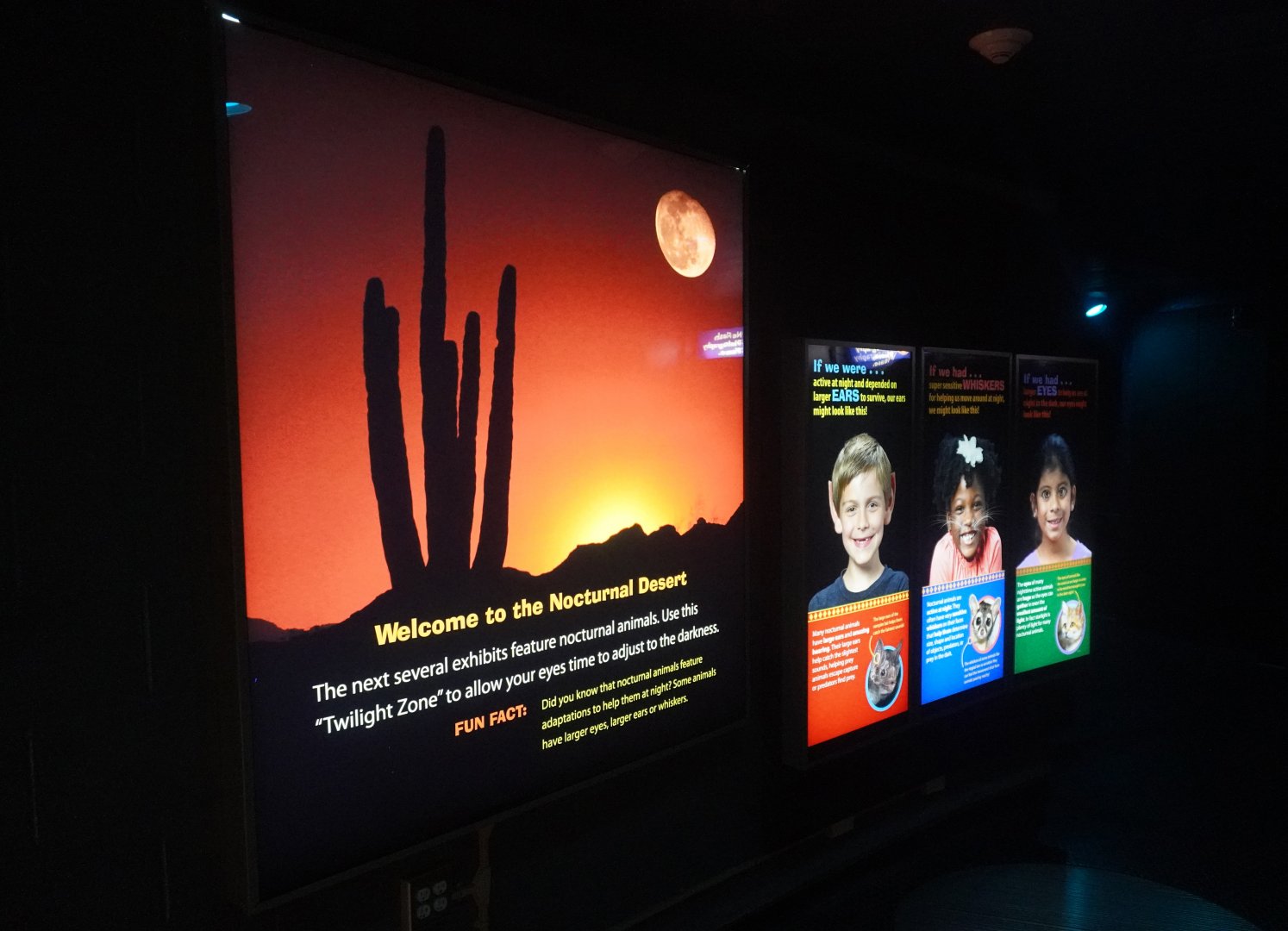 Aug. 2022 - The Desert - If Humans Were Nocturnal Signage