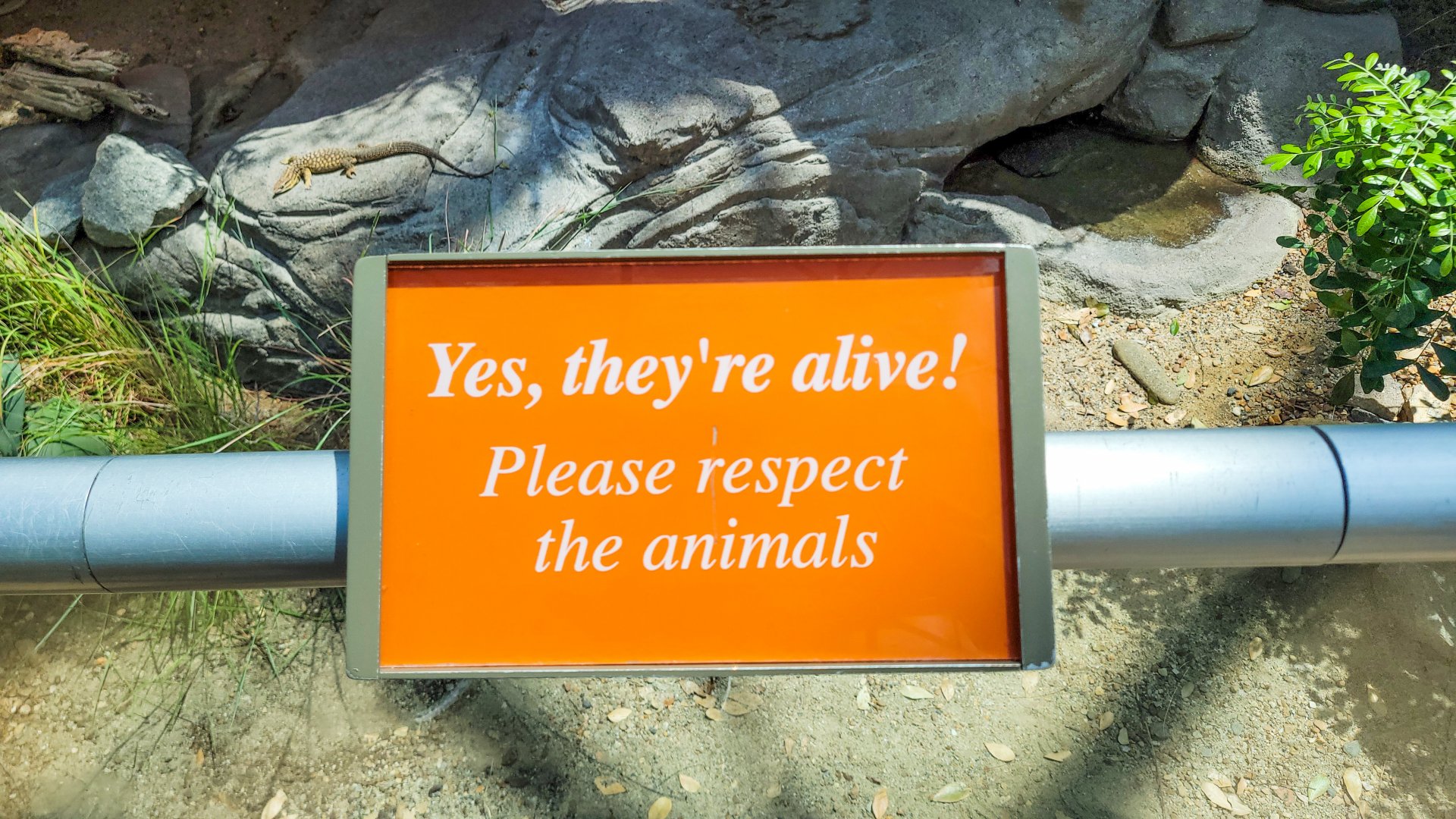 Aug. 2022 - The Desert - My All Time Favorite Zoo Sign