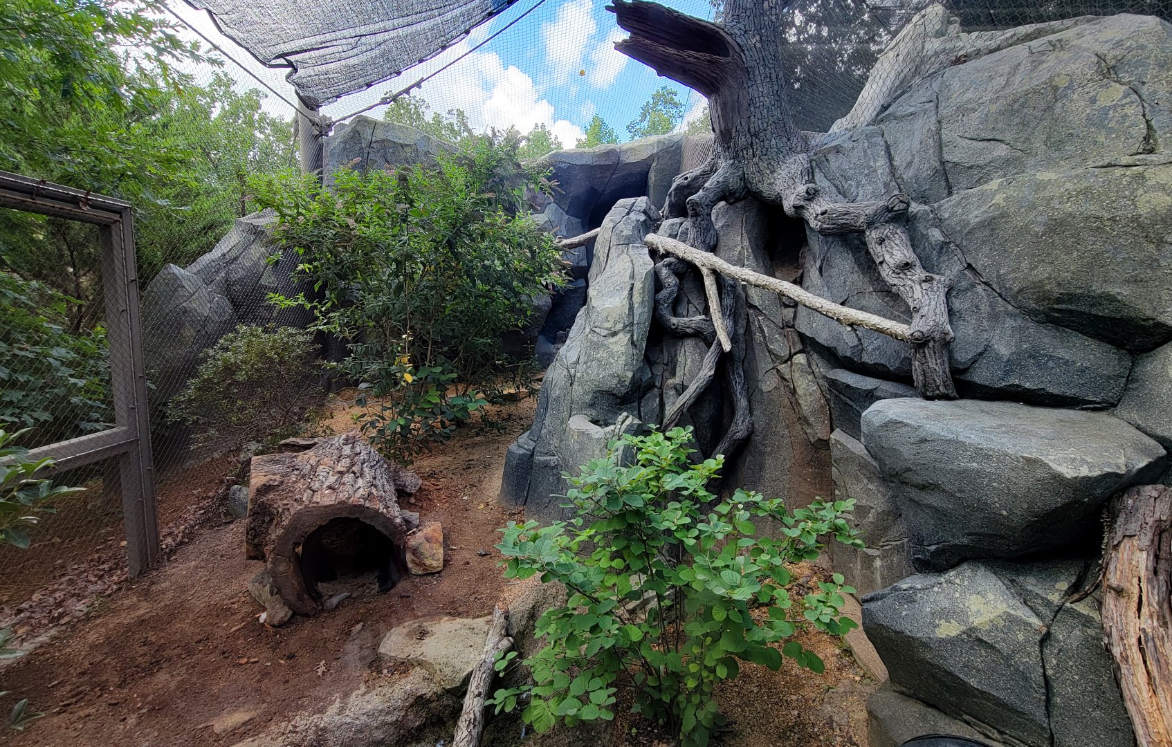 Aug. 2022 - The Desert - Ocelot Left Exhibit