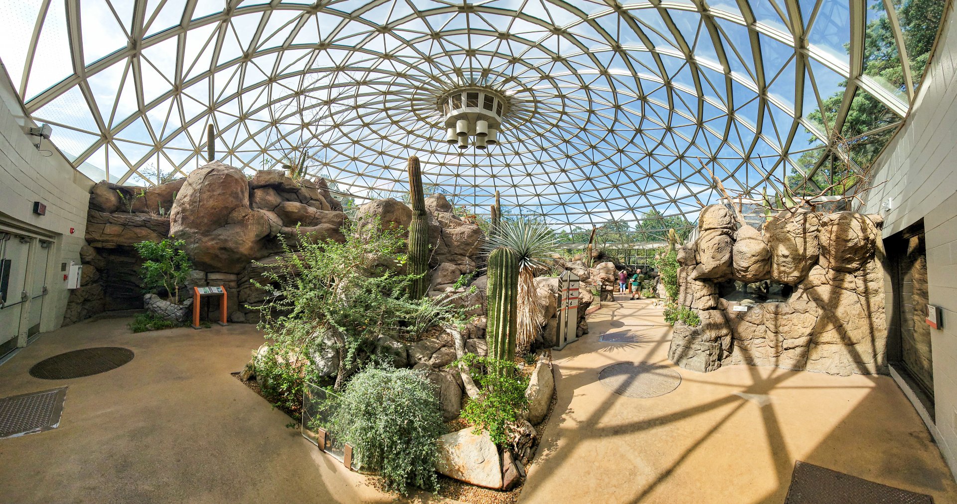 Aug. 2022 - The Desert Panorama (6 Free Flying Species)