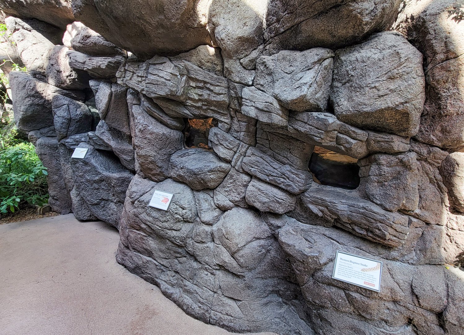 Aug. 2022 - The Desert - Three Reptile Exhibits