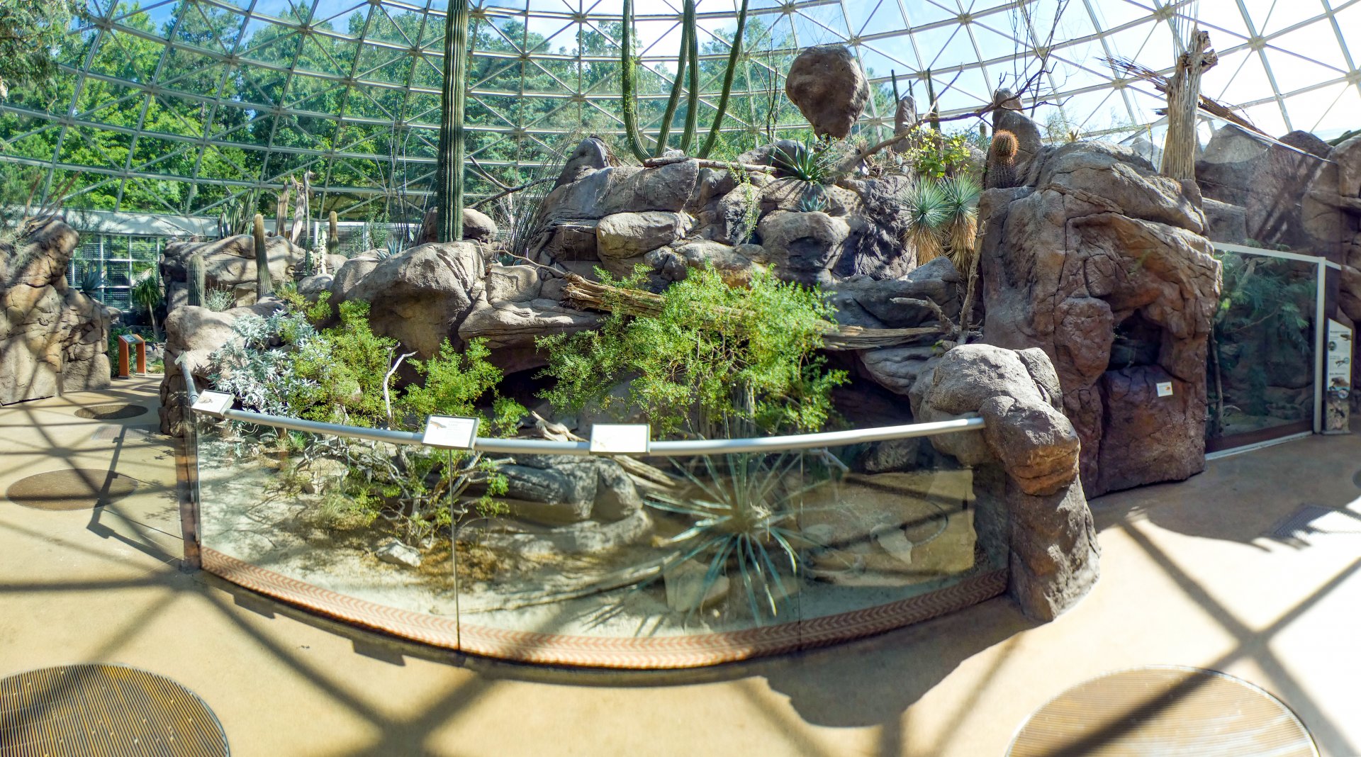Aug. 2022 - The Desert - Tortoise + Lizard Exhibit