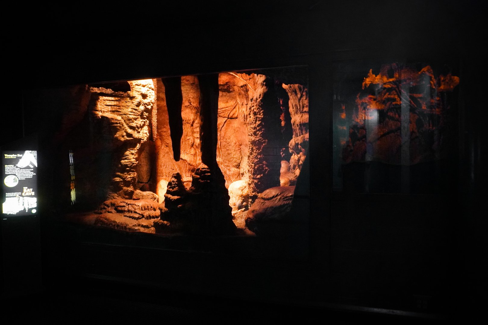 Aug. 2022 - The Desert - Vampire Bat Exhibit