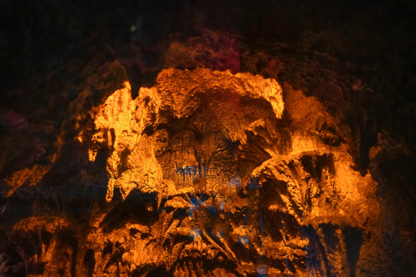 Aug. 2022 - The Desert - Vampire Bat Exhibit