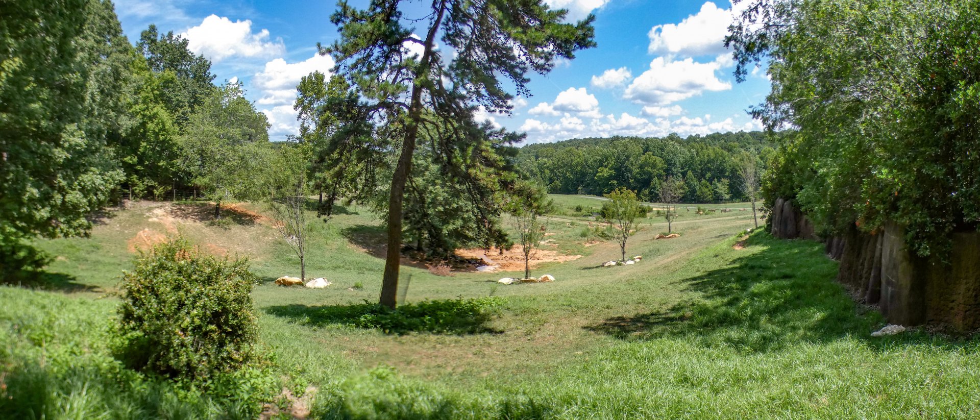 Aug. 2022 - Watani Grasslands Reserve - 25 Acre Savanna (8 Species)