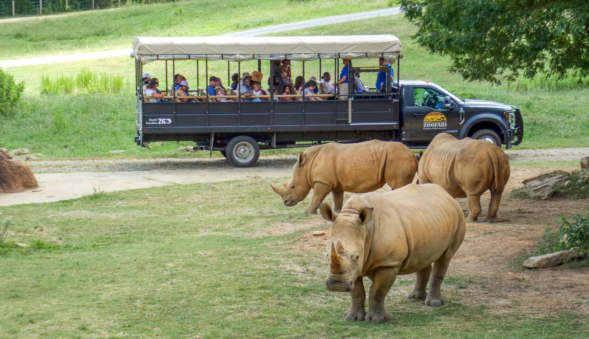Aug. 2022 - Watani Grasslands Reserve - 25 Acre Savanna (8 Species)