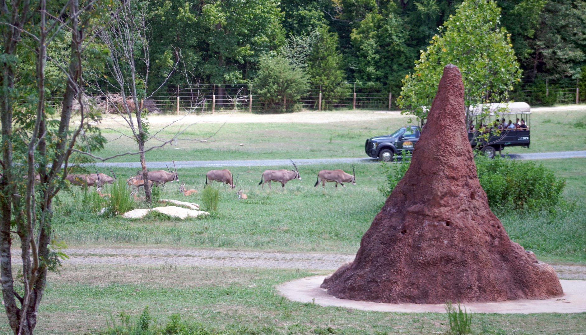 Aug. 2022 - Watani Grasslands Reserve - 25 Acre Savanna (8 Species)