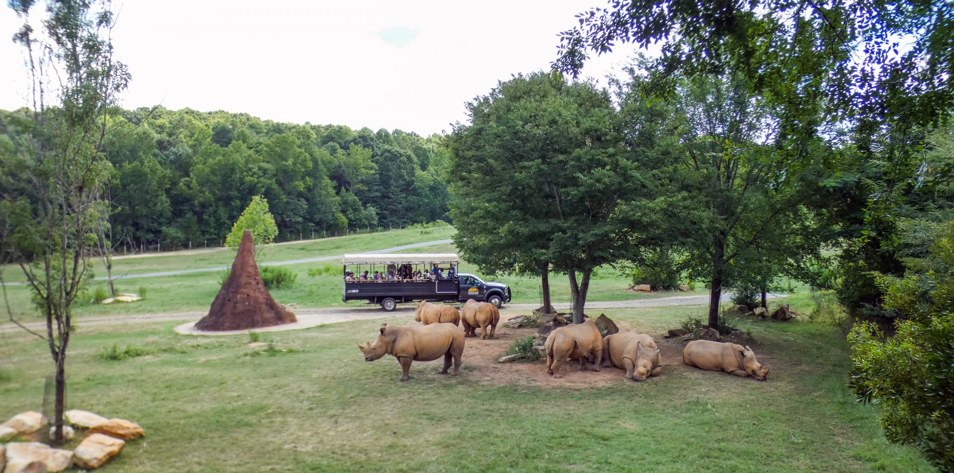 Aug. 2022 - Watani Grasslands Reserve - 25 Acre Savanna (8 Species)