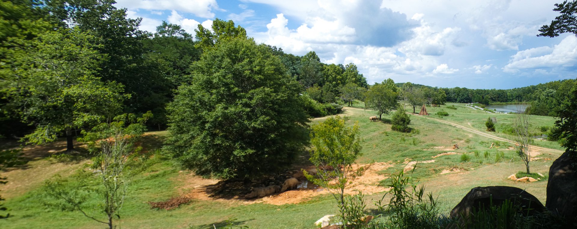 Aug. 2022 - Watani Grasslands Reserve - 25 Acre Savanna (8 Species)