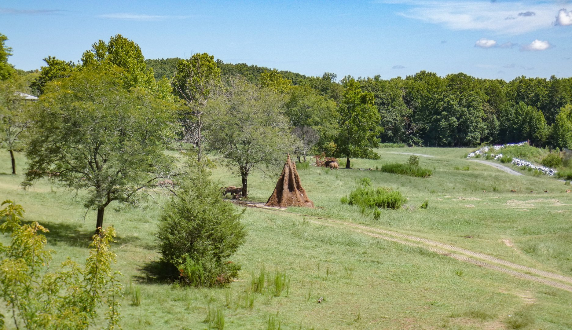 Aug. 2022 - Watani Grasslands Reserve - 25 Acre Savanna (8 Species)