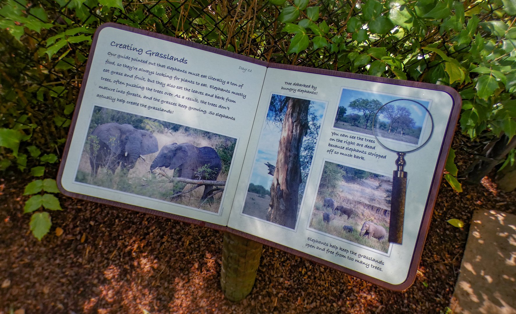 Aug. 2022 - Watani Grasslands Reserve - 'Creating Grasslands' Sign