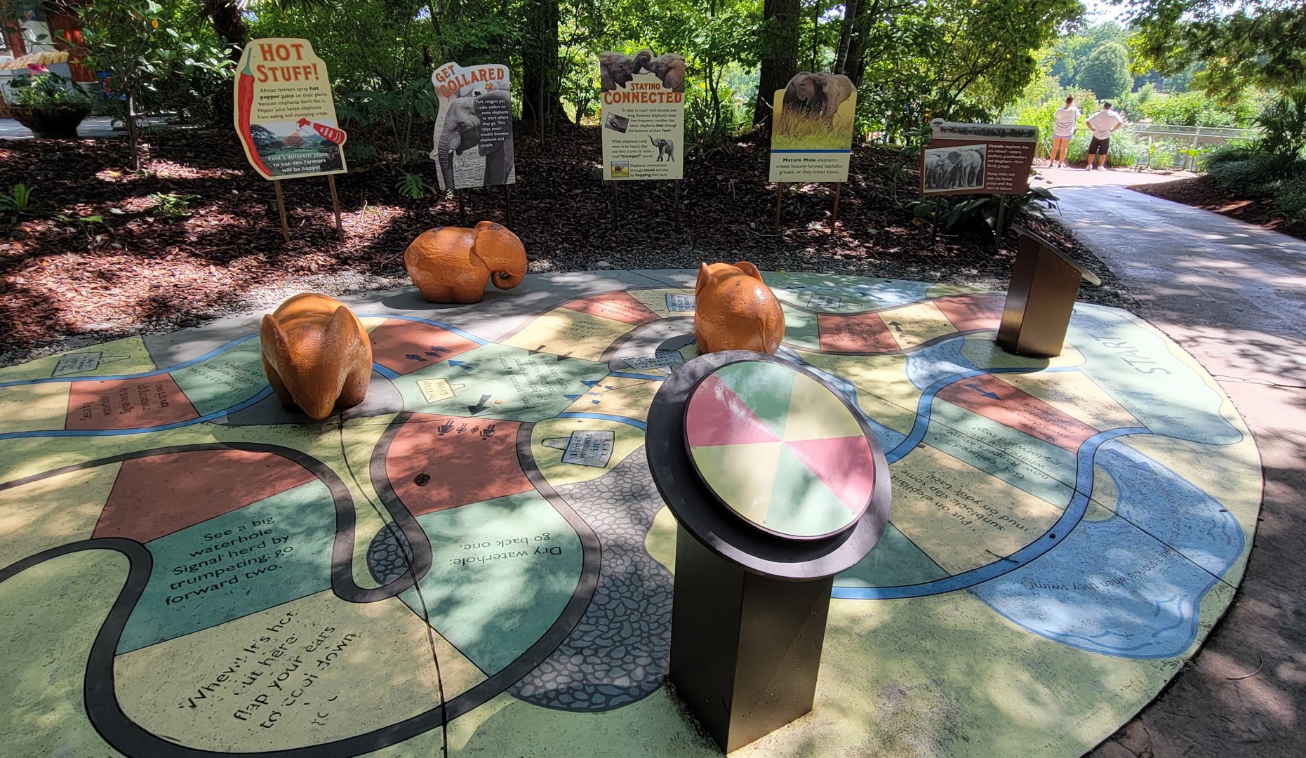 Aug. 2022 - Watani Grasslands Reserve - Elephant Game