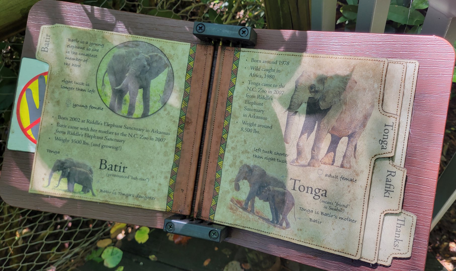 Aug. 2022 - Watani Grasslands Reserve - Elephant ID's