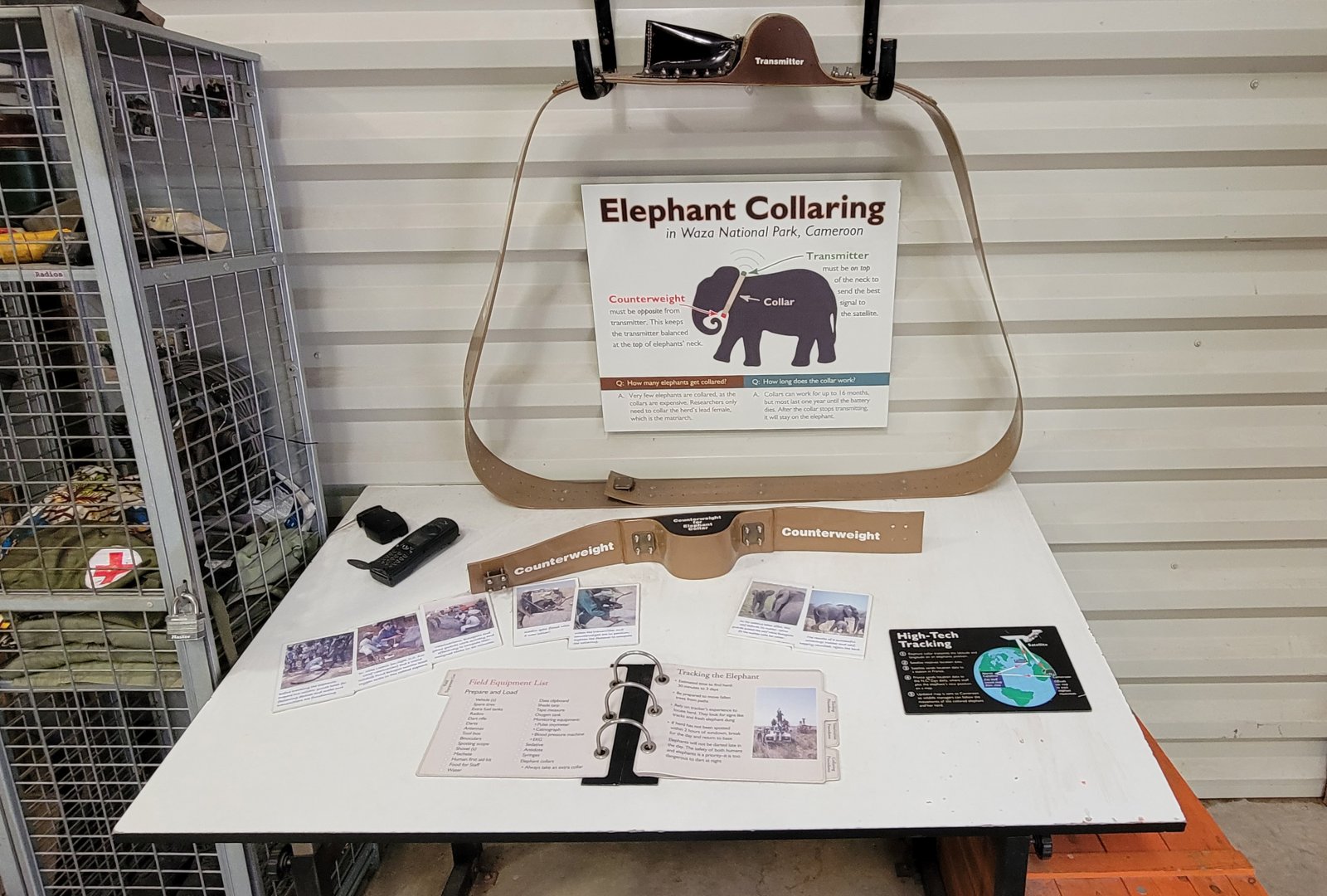 Aug. 2022 - Watani Grasslands Reserve - Elephant Tracking Station