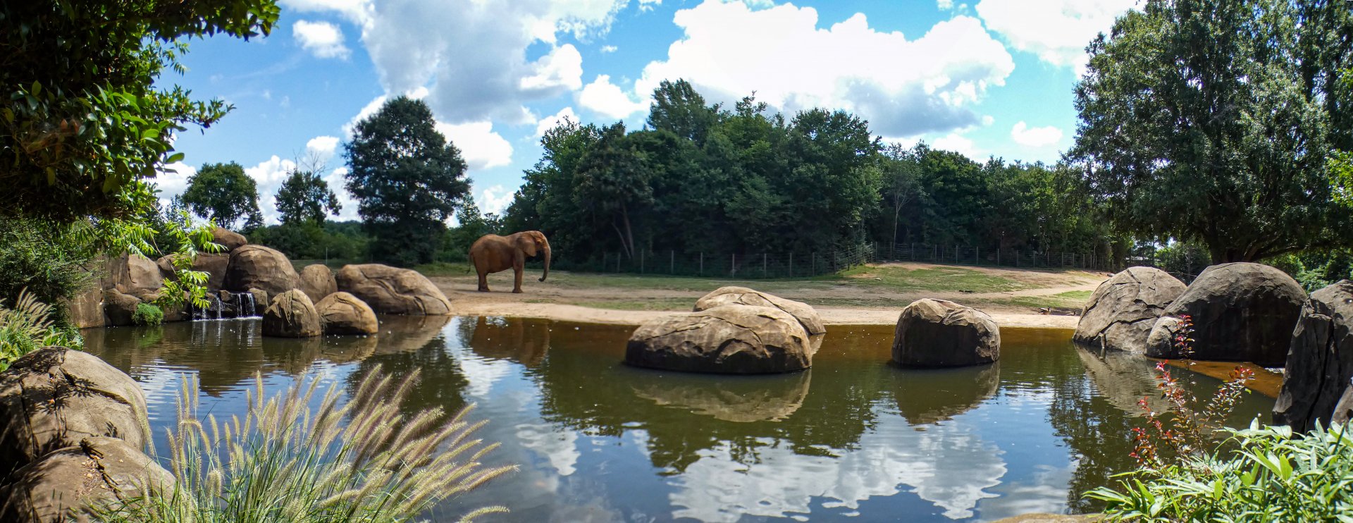 Aug. 2022 - Watani Grasslands Reserve - Right Elephant Exhibit Panorama (2.25 Acres)